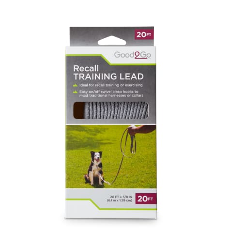 recall training lead