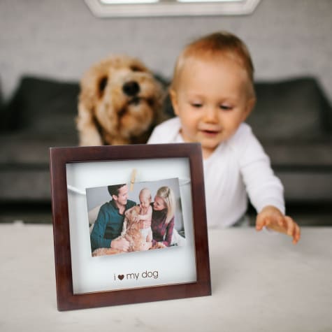 pearhead dog collar frame