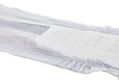 petco male dog wraps