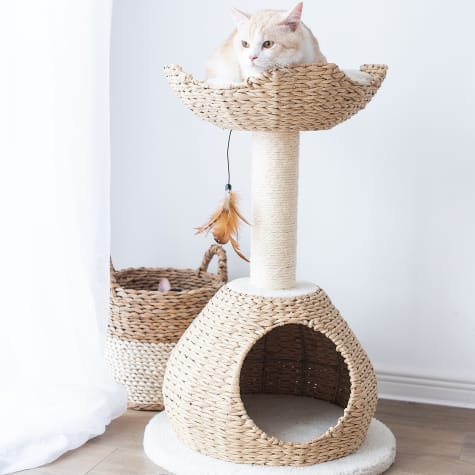 PetPals Group Walk-Up Boho Handwoven Cat Condo with Perch & Sisal Scratching Post