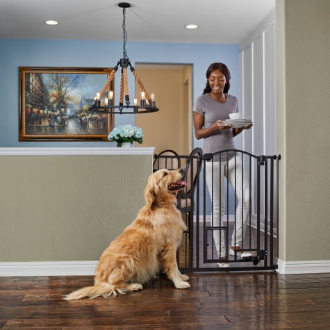 Carlson Extra Wide Dog Pet Gate Review Demo Perfect Gate For Pets Youtube