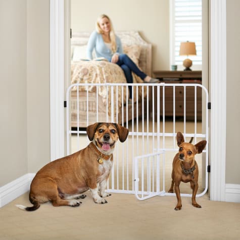 petco dog gates