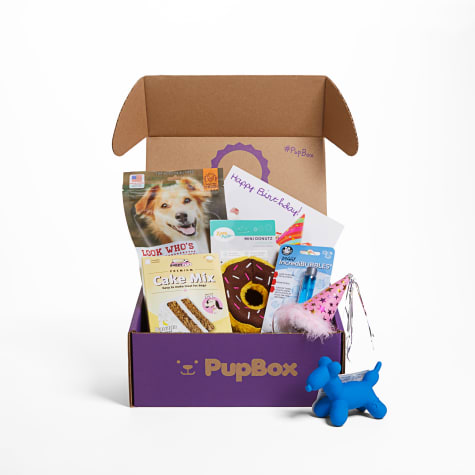 dog surprise box