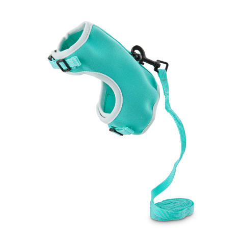 hamster harness petco