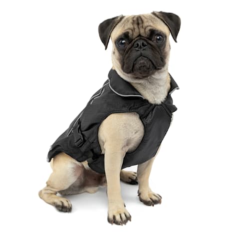 Kurgo North Country Dog Coat In Black