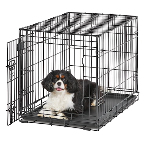 life stages crate divider