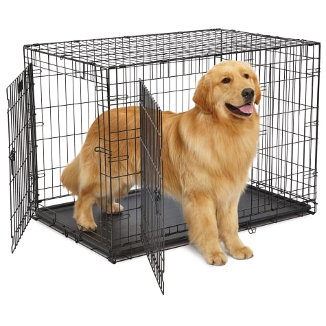 midwest contour dog crate