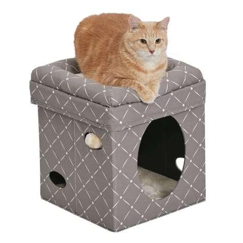 Midwest Curious Cube for Cat