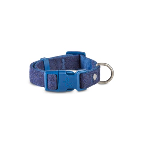blue tweed dog collar