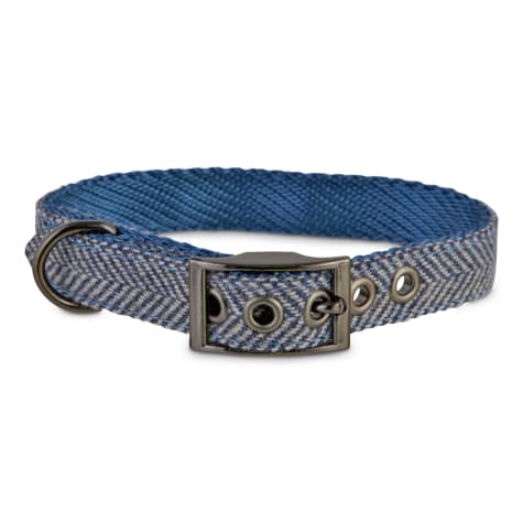 Bond & Co. Fashion Buckle Dog Collar