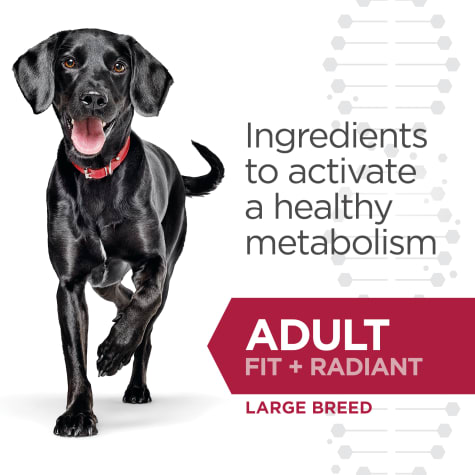 hill's science diet fit and radiant