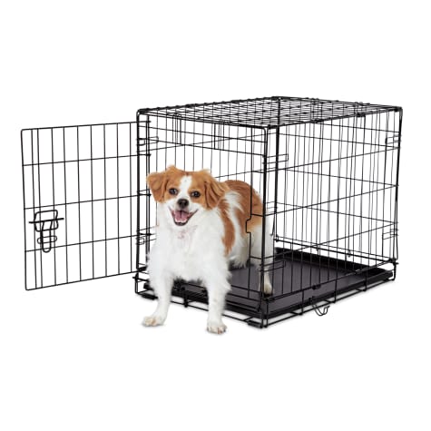 petco animaze crate