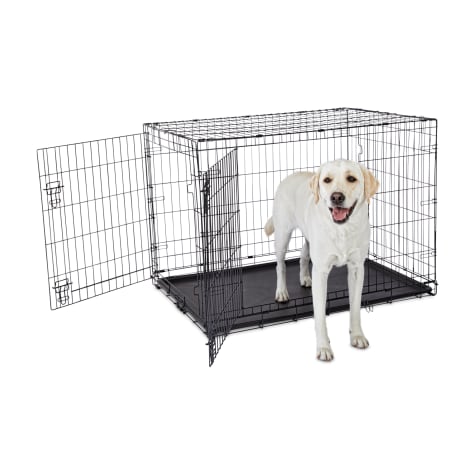 petco animaze crate