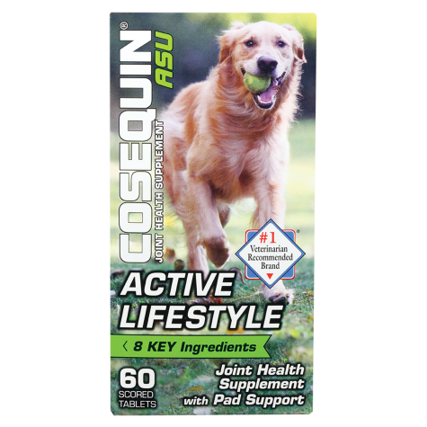 Cosequin Ds Maximum Strength For Dogs Plus Msm Vetrxdirect