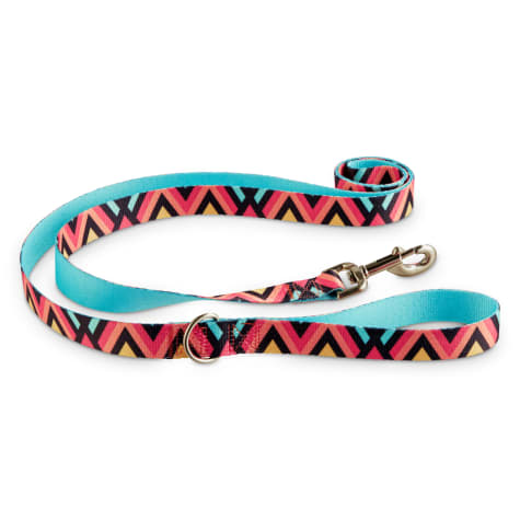 long dog leash petco