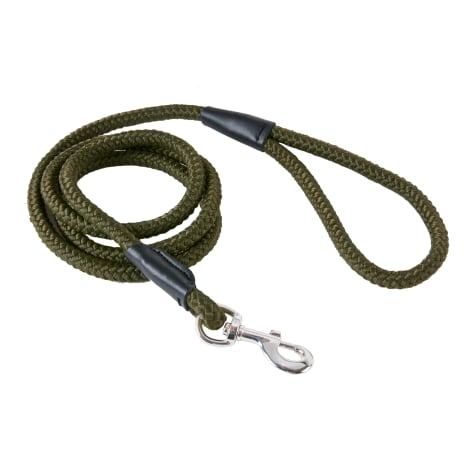 Track & Tail Green Rope Dog Leash
