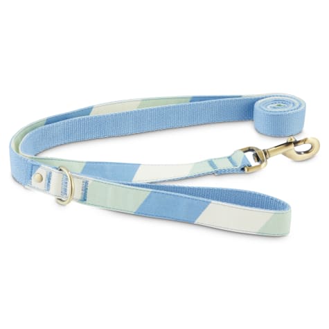 petco collars and leashes