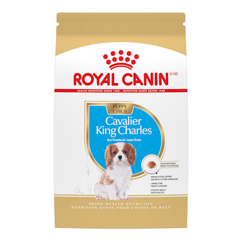 Royal Canin Breed Health Nutrition Cavalier King Charles Dry Puppy Food