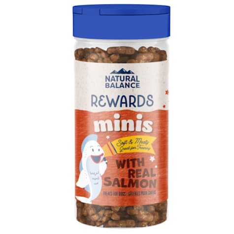 Natural Balance Limited Ingredient Diets Mini Rewards Soft & Chewy Salmon Formula Dog Treats