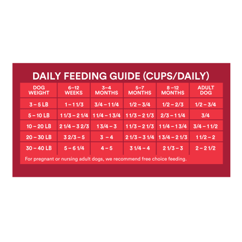 wholehearted feeding guide