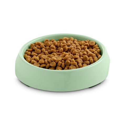 Harmony Mint Single Cat Bowl Base