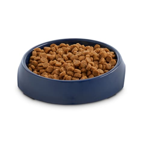 petco cat bowls