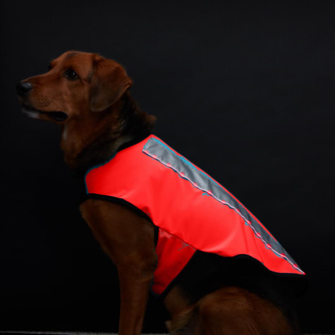 Healers Spot-Lite Dog Reflective Jacket with Orange LED Lights