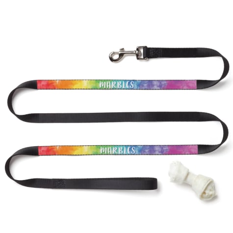 Custom Personalization Solutions Personalized Rainbow Dog Leash