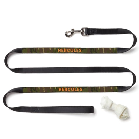 Custom Personalization Solutions Personalized Dog Leash