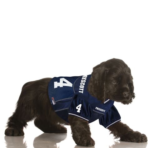 dak prescott dog jersey