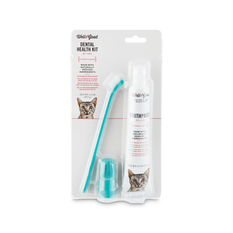 cat toothbrush kit