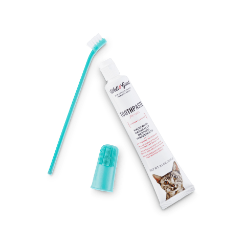 cat toothbrush petco