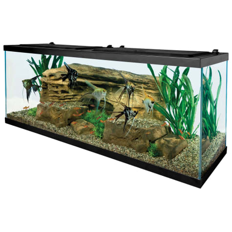 Led Aquarium Light 55 Gallon Tank Starter Kit with LED with Low-Profile Hood Skroutz Deals