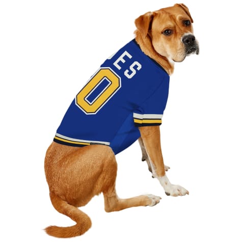 st louis blues dog sweater