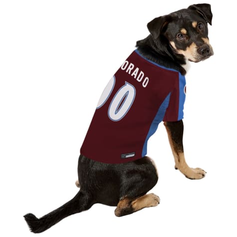 Pets First Colorado Avalanche Dog 