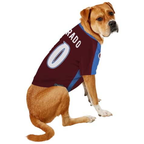 colorado avalanche dog jersey