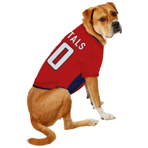 washington capitals dog jersey