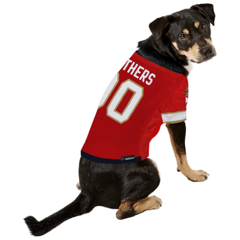 panthers dog jersey