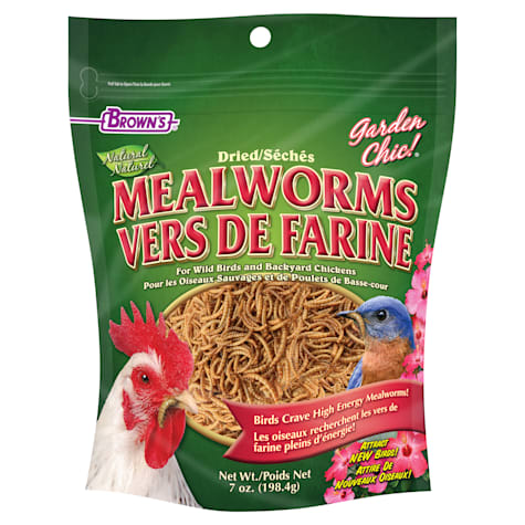 Brown's Natural Dried Mealworms for Birds