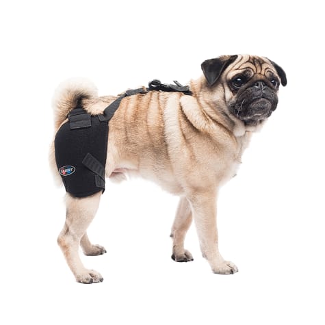 Caldera Hot & Cold Therapy Wrap with Gel for Dogs Hips