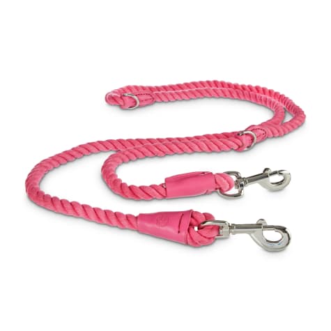 long dog leash petco