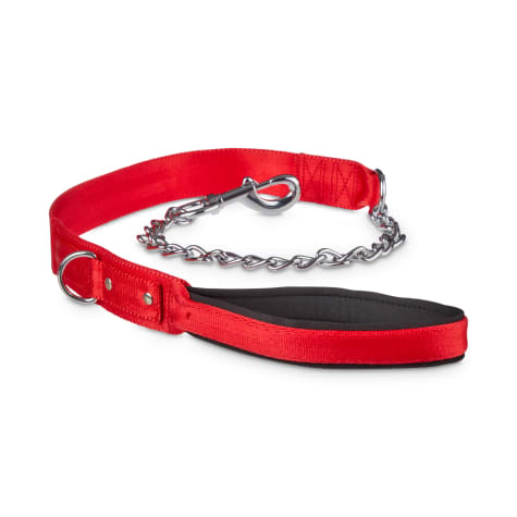 chain leashes for big dogs