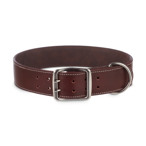 Bond & Co. Brown Leather Collar for Big Dogs
