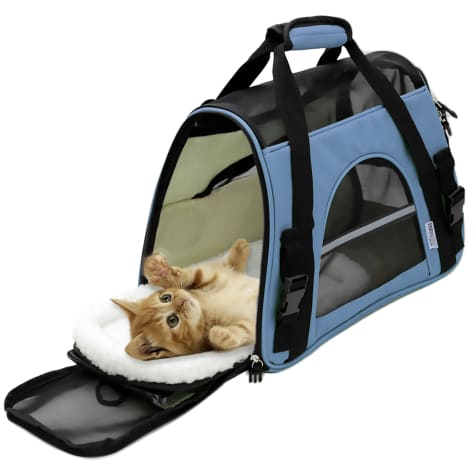 petco dog travel carriers