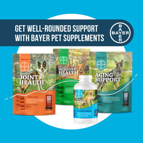 omega 3 for dogs petco