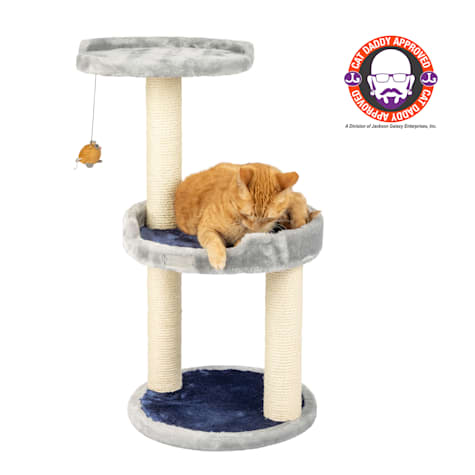 petco cat tree