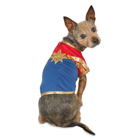 Marvel Avengers Captain Marvel Dog T 