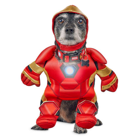 iron man dog toy