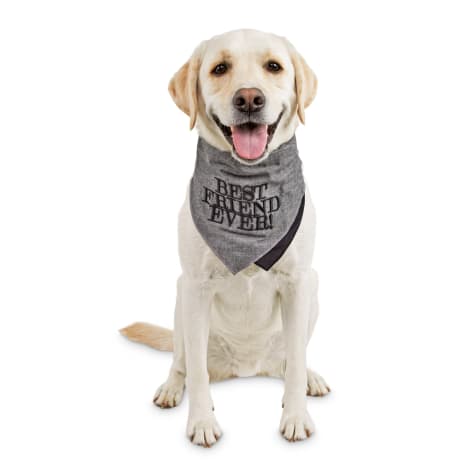 petco dog scarf