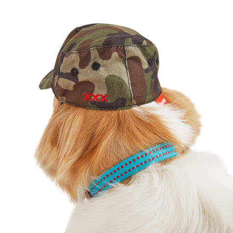 dog hats petco
